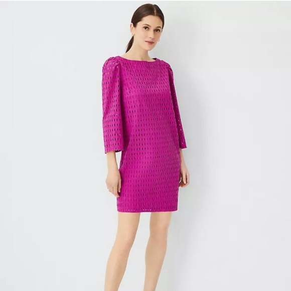 Ann Taylor Dresses & Skirts - NWT New Ann Taylor Magenta Pink Lace Overlay Shift Dress Size Medium Tall